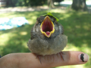 tumblr_m9pcnmPSNH1rpu946o2_500