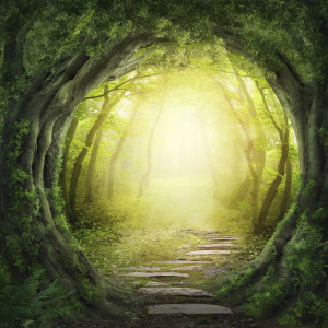 Magical opening through Forest with light behind