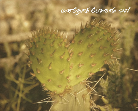 speak-from-your-heart