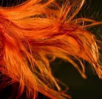 fire