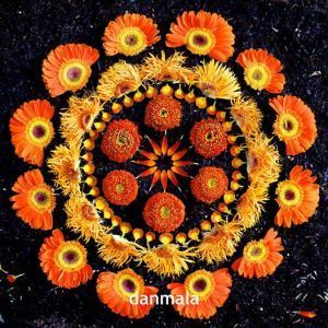 62364_818756091484819_1666986285_n