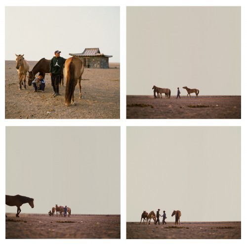 Mongolia-2