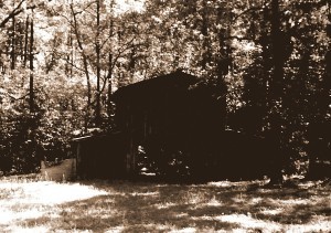 EPSON MFP image