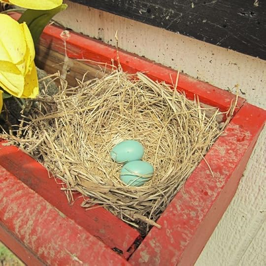 two-eggs-web