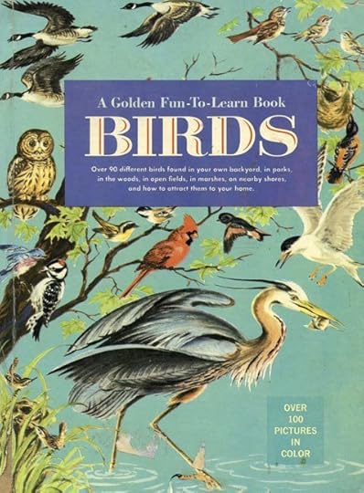 my-bird-book-web