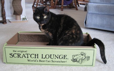 Scratch_Lounge