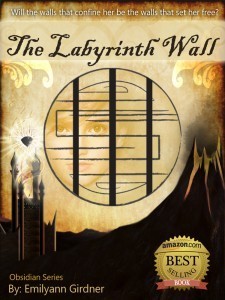 The-Labyrinth-Wall-Cover