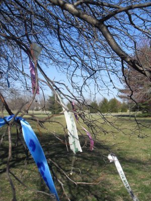 When our friend, Joy, moved away, the gals in our creativity group, wrote hopes for her and tied them to a tree to wish her well.