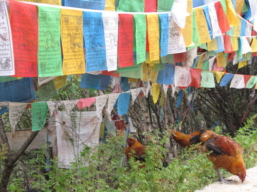 Prayer flags in Kathmandu, 