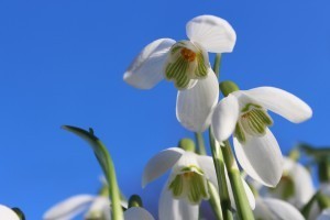 IMG_8917s
