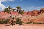 images8