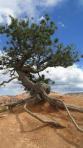 images6