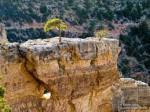 images7