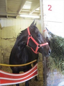 1150124_10201172474747474_1622133920_n