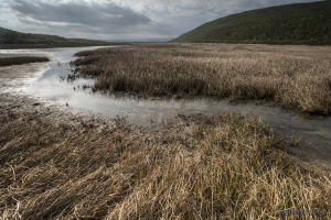 Landscape in the Hellshire Hills area (Photo: Robin Moore/Global Species Conservation)
