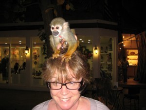 IMG_0007 (2)