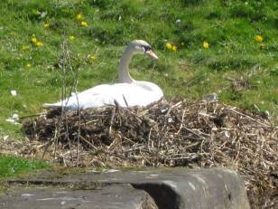 10247279_10203757614005125_5675182446853711106_n