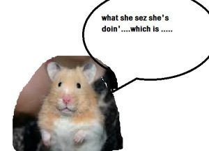 article-new-thumbnail_ehow_images_a06_07_3v_hamsters-care-training-800x800