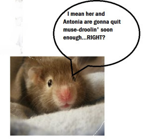 article-new-thumbnail_ehow_images_a06_07_3v_hamsters-care-training-800x800