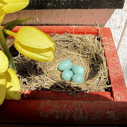 four-eggs-web