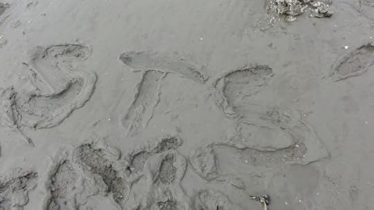 I marked STS for the Solo Travel Society into the mud.