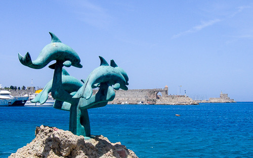 Rhodes Dolphins