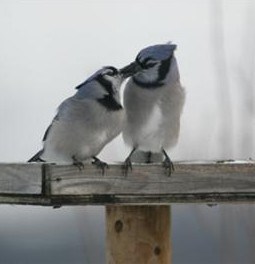 BE CAREFUL OUT THERE, OK