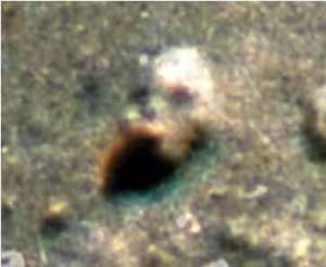 It is sometimes called Data's Head.