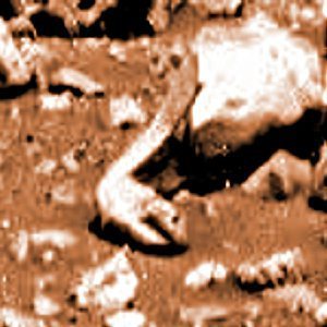 THERE BE DRAGONS HERE!