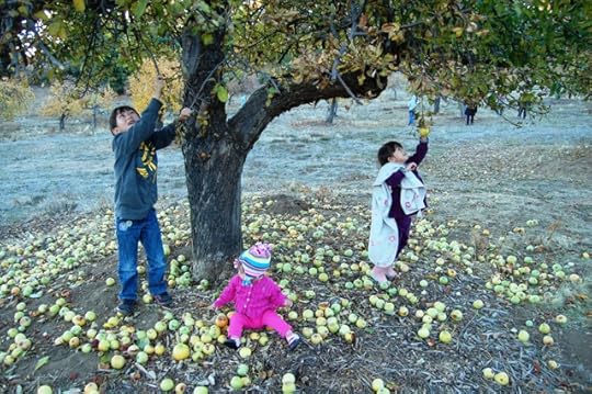 Mateo, Talia & Sarina Waite- 6th Generation under Alonzo's apple trees in fall, 2012