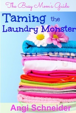 Taming the Laundry Monster