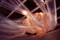 Uberorgan Oddmusic.com