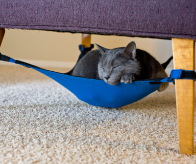 cat_crib_cat_hammock