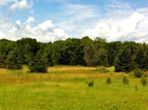 Looks like a painting, but it's the view from the classroom at Madeline Island School of Arts
