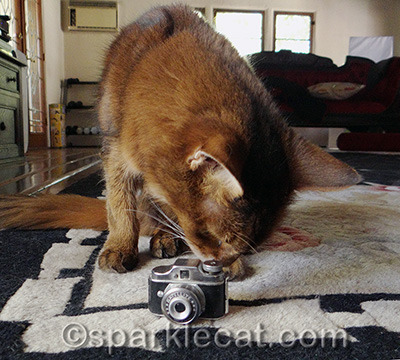 Where is the shutter button on this thing anyhow?