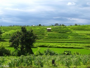 Negara-3