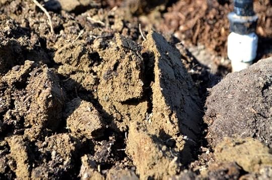 clay-soil