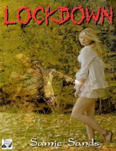 Lockdown ebook cvr (1)