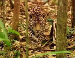  photo images_zps5c3e60d4.jpg