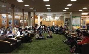 grasslibrary
