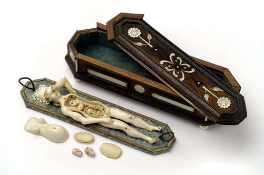 Anatomisches-Lehrmodell-einer-schwangeren-Frau-Stephan-Zick-Nürnberg-um-1680-Länge-der-Figur-122-cm-©-Kunstkammer-Georg-Laue-München