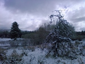 2014-04-26 10.04.52