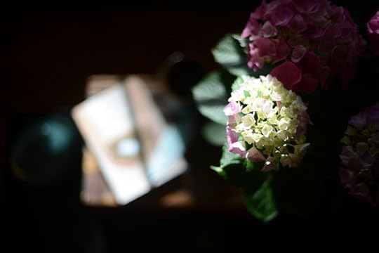 DSC_8675