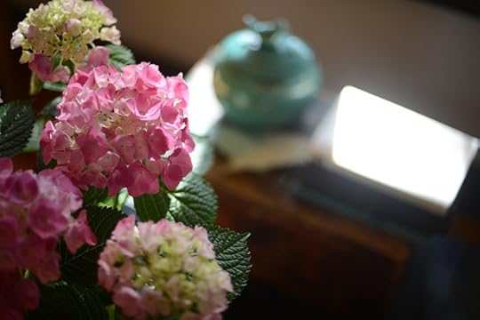 DSC_8696