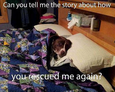  photo cid_B502D13342B14D3C917021D977B631A4MCRCPC_zps6413e473.jpg