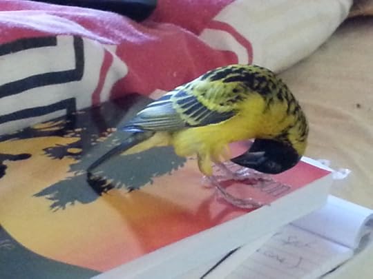 Who said it was crap