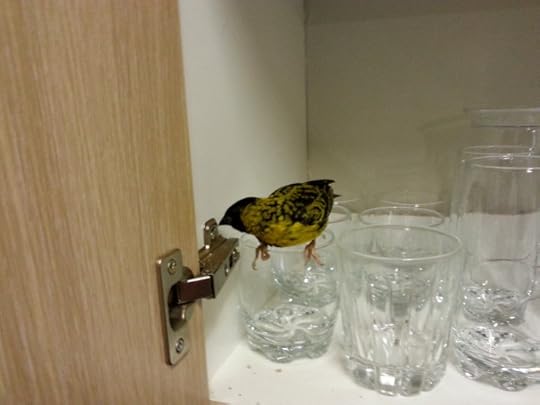 No I won't get off the Glasses