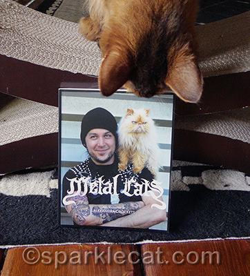 It smells good too! Like kitties