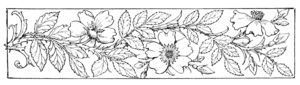 roses