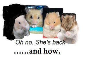 article-new-thumbnail_ehow_images_a06_07_3v_hamsters-care-training-800x8003